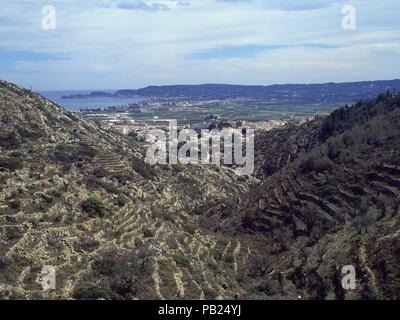 CULTIVO DE TERRAZAS. Ort: Außen, JAVEA/XABIA, ALICANTE, Spanien. Stockfoto