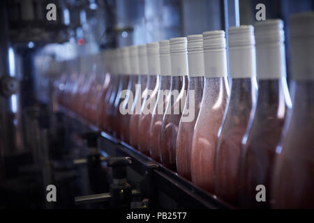 Wein Flaschen auf dem Förderband Rosé. Stockfoto