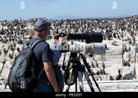 Zwei Personen Teleobjektive Stative fotografieren Vögel Farne Islands Northumberland, Großbritannien Stockfoto