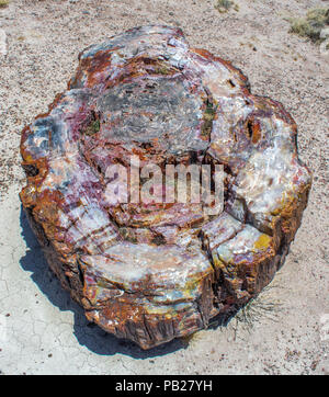 Versteinertes Holz, Petrified Forest National Park, Arizona Stockfoto