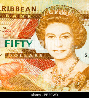 50 Eastern Caribbean Dollar Bank Note. Stockfoto