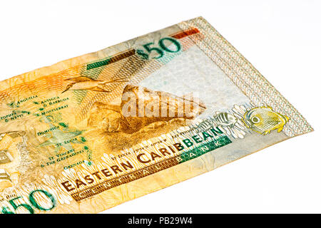 50 Eastern Caribbean Dollar Bank Note. Stockfoto