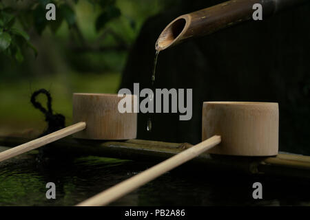 Tsukubai (蹲踞) oder ein Waschbecken am Eingang des Soihoji, Kokedera moss Garden in Kyoto. Besucher reinigen Wasser, bevor sie eintreten. Stockfoto
