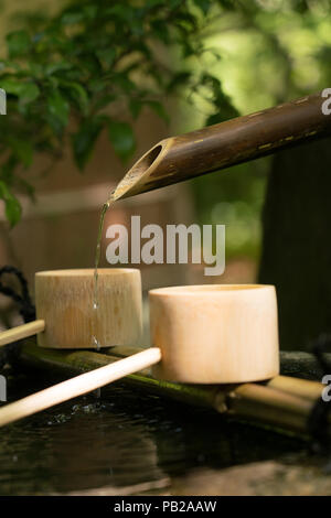 Tsukubai (蹲踞) oder ein Waschbecken am Eingang des Soihoji, Kokedera moss Garden in Kyoto. Besucher reinigen Wasser, bevor sie eintreten. Stockfoto