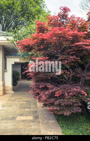 Garten in Kunming, Yunnan, China Stockfoto