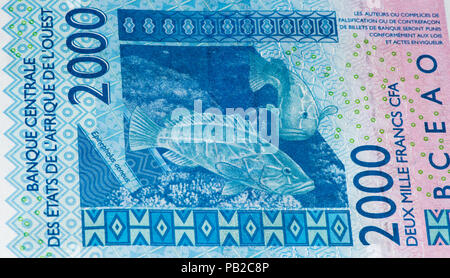 2000 CFA-Franc Bank Note. CFA-Franc ist in 14 afrikanischen Ländern verwendet. Stockfoto
