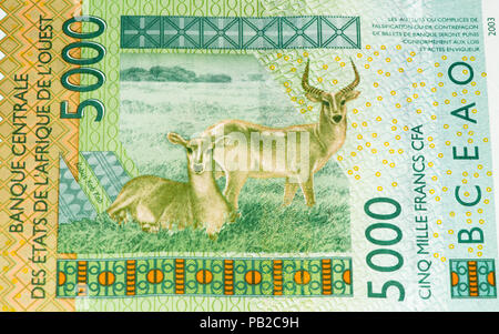 5000 CFA-Franc Bank Note. CFA-Franc ist in 14 afrikanischen Ländern verwendet. Stockfoto