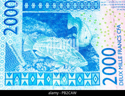 2000 CFA-Franc Bank Note. CFA-Franc ist in 14 afrikanischen Ländern verwendet. Stockfoto