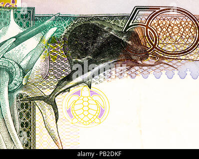 50 Seychellen Rupie Bank Note, die nationale Währung der Seychellen. Stockfoto