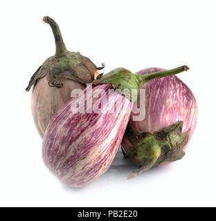 Aubergine Sorten von Graffiti auf weißem Hintergrund Stockfoto