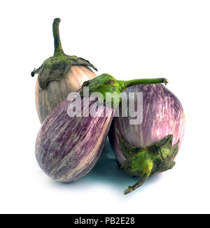 Aubergine Sorten von Graffiti auf weißem Hintergrund Stockfoto