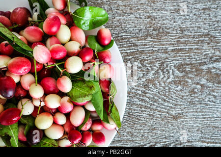 Karonda Carunda oder Obst, Kräuter und Medizin verwendet, rote Beerenfrucht und grüne Blätter Stockfoto