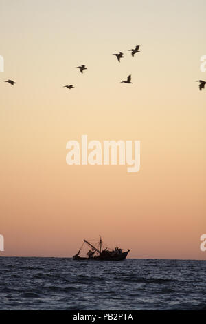 Sonnenuntergang im Meer von Cortez, Strand von Kino Bay.Atardecer en el mar de Cortez , playa Bahía de Kino. Foto: Staff/NortePhoto **CREDITO+OBLIGATORIO** Stockfoto