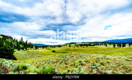 Dunkle Wolken über dem fruchtbaren Ackerland und sanften Hügeln entlang der Autobahn 5 in der Nähe von Nicola See, zwischen Kamloops und Merritt in der Okanagen region Stockfoto