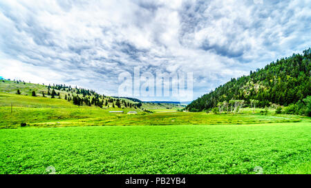 Das fruchtbare Ackerland auf den Hügeln entlang der Autobahn 5 zwischen Kamloops und Merritt in der Okanagen Region British Columbia, Kanada Stockfoto