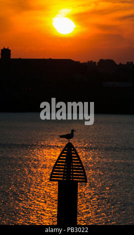 Die Sonne geht hinter der Skyline von Liverpool Woodside Fähre über den Fluss Mersey. Die Temperaturen sind zu erwarten 35 C heute getroffen, als die Hitzewelle in Großbritannien fort. Stockfoto