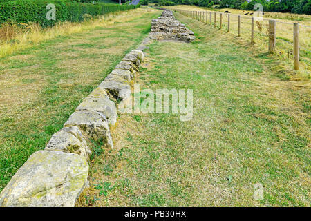 Römische Mauer in heddon an der Wand vorne nach hinten Foto stapeln Stockfoto
