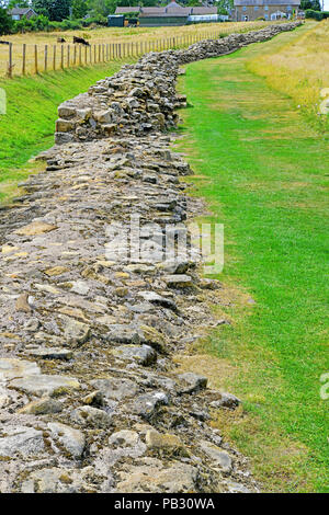 Römische Mauer in heddon an der Wand vorne nach hinten Foto stapeln Stockfoto