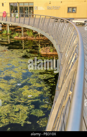 Die Promenade an Rushden Seen Stockfoto