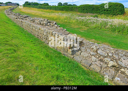 Römische Mauer in heddon an der Wand vorne nach hinten Foto stapeln Stockfoto