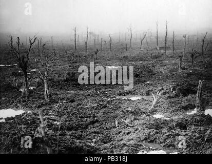 Offizielle Foto auf dem britischen Western Front genommen Stockfoto