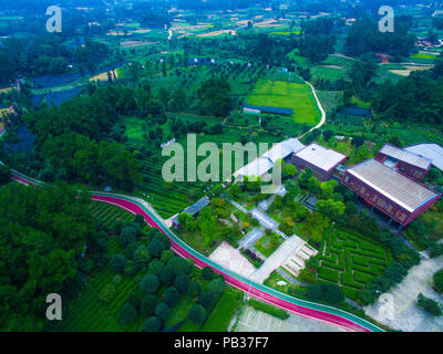 Chengdu Chengdu, China. 26. Juli, 2018. Chengdu, China - Luftaufnahmen von Tee Plantage in Chengdu, Provinz Sichuan im Südwesten Chinas. Credit: SIPA Asien/ZUMA Draht/Alamy leben Nachrichten Stockfoto