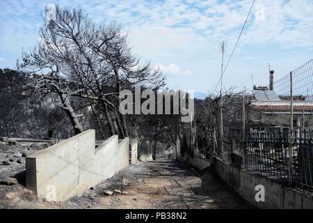 Athen, Griechenland. 26. Juli, 2018. Brandflächen nach der Wildfire. Nach der Zerstörung durch die Waldbrände in Mati und Neos Voutsas Regionen Attika mit mehr als 80 Toten und eine unvorstellbare Zerstörung von Eigentum. Credit: Giorgos Zachos/SOPA Images/ZUMA Draht/Alamy leben Nachrichten Stockfoto