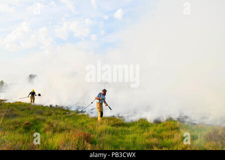 Ferndown, Bournemouth, Dorset, Großbritannien. 26. Juli 2018. UK Wetter. Dorset & Wiltshire Fire & Rescue kämpft ein Heide Brand in Ferndown Gemeinsame in Bournemouth in Dorset wie die hitzewelle weiter. Foto: Graham Jagd-/Alamy leben Nachrichten Stockfoto
