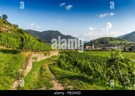 Spitz, Österreich, Blick auf die alte Kirche von grünen Weinbergen. Stockfoto