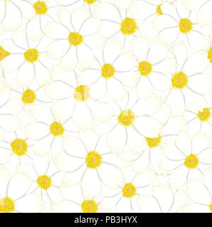 Weiß Cosmos Flower nahtlose Hintergrund. Vector Illustration. Stock Vektor