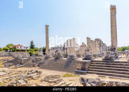 Blick zum Tempel des Apollo im archäologischen Bereich von Didim, Didyma, Provinz Aydin, Türkei, Europa. Stockfoto