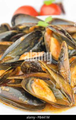 Muscheln Suppe closeup mit Kopie Raum Stockfoto