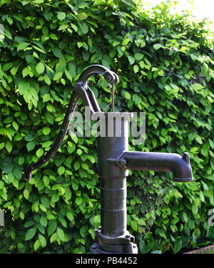 Alte Wasserpumpe mit Spiderweb und grüne Büsche im Hintergrund - Garten Stockfoto