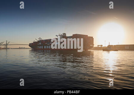 Die riesigen Yang Ming Containerschiff, YM EINSTIMMIGKEIT, betritt die Los Angeles Hauptkanal, gebunden für den Hafen von Los Angeles, Kalifornien, USA. Stockfoto