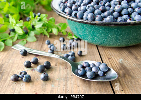 Frische Heidelbeeren aus einer Schüssel auf alten Holztisch. Laub mit Beeren Heidelbeeren am Strauch für Hintergrund. Blaubeeren zerbröckelt auf dem Tisch Stockfoto