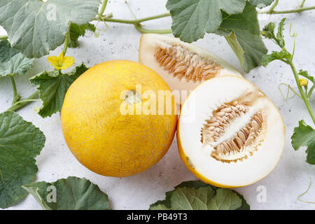 Frische gelb Melone und blühenden Reben auf weißen Stein Hintergrund, Ansicht schließen Stockfoto