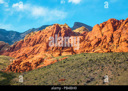 Mit Blick auf den Red Rock Canyon, Nevada Stockfoto