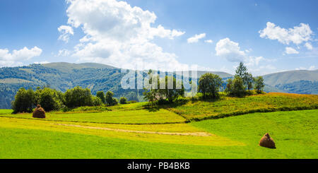 Panorama der grasartigen Landwirtschaftliches Feld mit Heuballen und Obstgarten. schönen ländlichen Sommer Landschaft in den Bergen Stockfoto