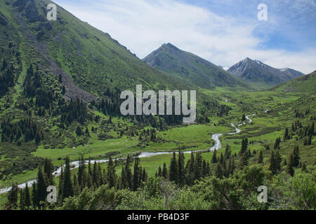 Grüne Berglandschaft auf der Keskenkija Trek, Jyrgalan, Kirgisistan Stockfoto