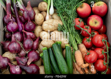 Gemüse-korb Anzeige an RHS Tatton Park Flower Show 2018. Cheshire, Großbritannien Stockfoto