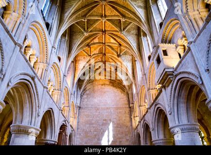 Die beobachtende Loft in Malmesbury Abbey Stockfoto