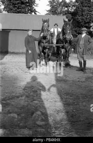 In einem Bauernhof, mit einer Metall Scheune im Hintergrund, Landwirt, Landwirte Frau und Farm Hand posieren mit zwei Arbeitspferde. Der Schatten des Fotografen in den Vordergrund gesehen werden kann. Bild, ca. 1920 Stockfoto