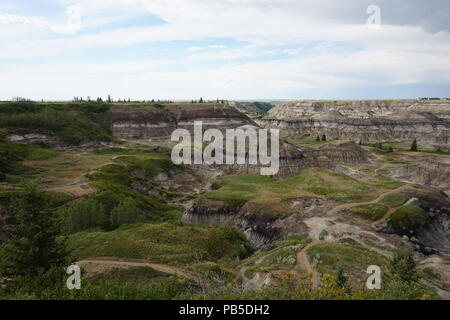 Horseshoe Canyon Lookout. Alberta, Kanada Stockfoto