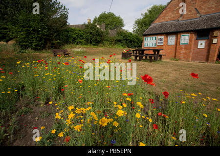 3Bs drei Bienen garten Wildblumen 22 Juli 2018 Mickleton Chipping Campden GROSSBRITANNIEN Stockfoto