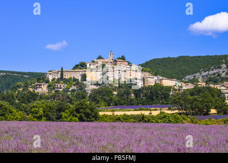 Dorf Banon und Blumenwiese, Provence, Frankreich, Departement Alpes-de-Haute-Provence Stockfoto