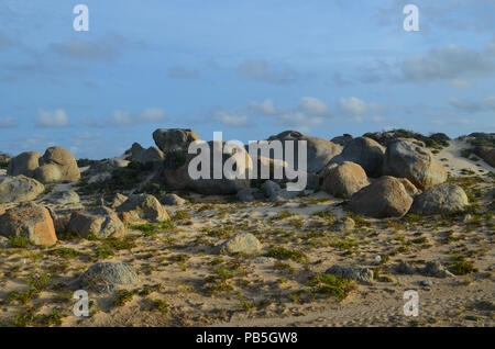 Große trommelsteine Kalkstein Felsen auf der North Shore von Aruba. Stockfoto