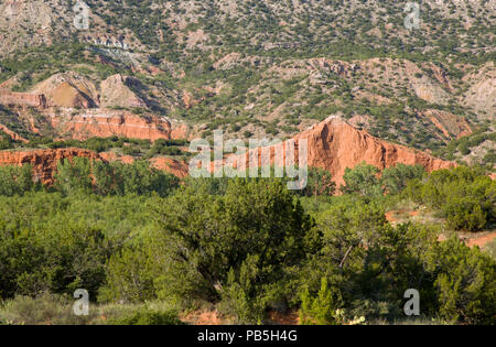 Palo Duro Canyon entlang der Lighthouse Trail Stockfoto