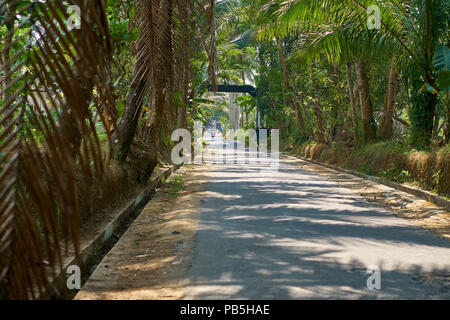 Prambanan-Tempel im indonesischen Hindu-Komplex Stockfoto