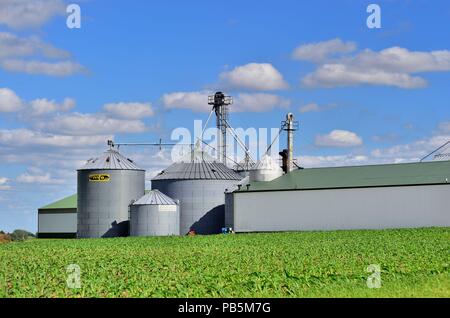 Burlington, Illinois, USA. Storage Tanks und Silos auf eine kooperative Rest über Felder von Kulturpflanzen unter landwirtschaftlichen Flächen im Nordosten von Illinois. Stockfoto