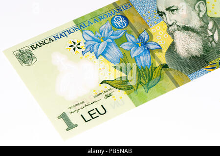 1 rumänischer Leu-Banknote. Lei ist die nationale Währung von Rumänien Stockfoto